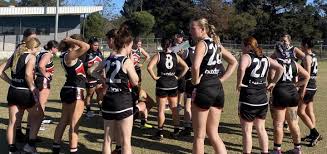 Image result for Beeches Netball Club