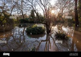 Image result for Mosspark Bowling Club