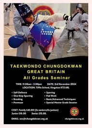 Image result for South Bank Taekwondo