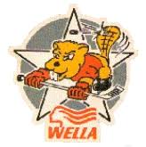 Image result for Basingstoke Buffalo