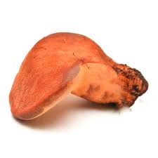 Attēlu rezultāti vaicājumam “Fistulina hepatica”