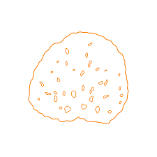 Attēlu rezultāti vaicājumam “Spongia”