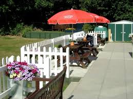 Image result for Shepherdswell Cricket Club