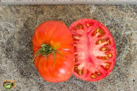 Afbeeldingsresultaat voor kosmonaut volkov 68D tomato