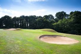 Image result for Surbiton Golf Club