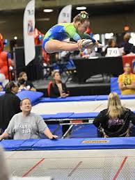 Image result for Elite Trampoline Club