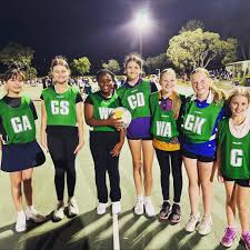 Image result for Civil Service (Ipswich) Netball Club