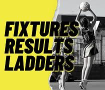 Image result for Epsom Oaks Netball Club