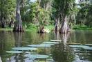 1888 Wensel House Bed and Breakfast (Natchez, MS) - B&amp;B Reviews ...