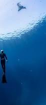 Image result for Bath Freediving Club