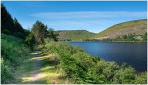 Image result for St Mary's Loch Sailing Club