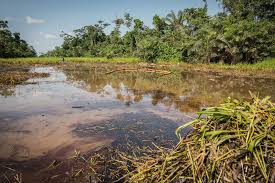 Risultati immagini per privazione della pheega