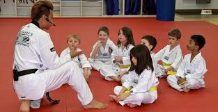 Image result for Kidderminster Tae Kwon Do Tigers