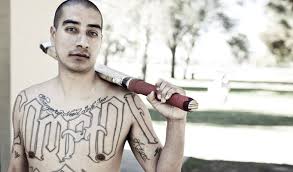 Image result for Compton House Cricket Club