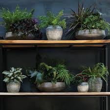 Image result for Newport Indoor Bowls Club