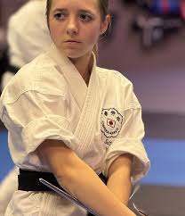 Image result for Everitt Karate Academy