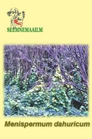 Attēlu rezultāti vaicājumam “Menispermum dauricum”