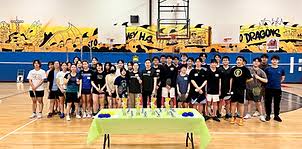 Image result for Wyvern Dragons Junior Badminton Club