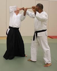 Image result for Epsom & Ewell Karate Club
