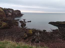 Image result for Cockburnspath Bowling Club