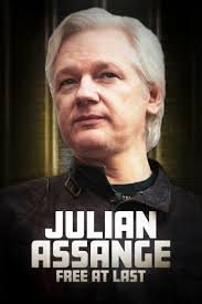Image result for julian assange