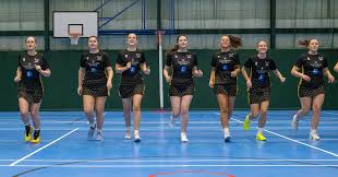 Image result for Hornets Netball Club