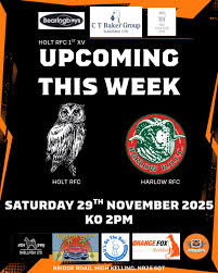 Image result for Holt R F C