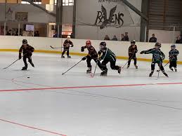 Image result for Glasgow Vipers Roller Hockey Club