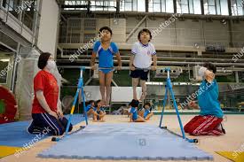 Image result for Tessaro Gymnastics Club