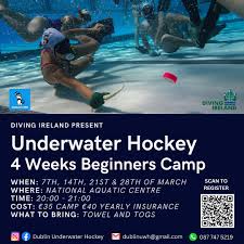 Image result for Dublin Underwater Hockey Team