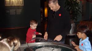 Image result for Exploratorium%20bubble