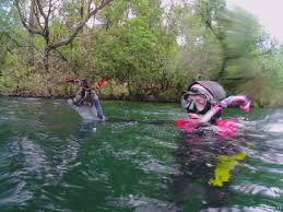 Image result for Dorking Snorkelling Club