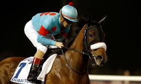 Image result for Almond Riding Club