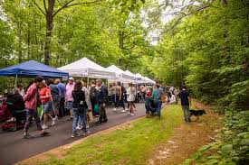 Image result for Forest (Sale) Badminton Club