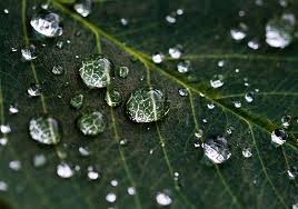 Attēlu rezultāti vaicājumam “macro”