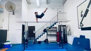 Image result for Monarchs Sports Acrobatics Club