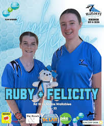 Image result for Blue Jays Netball Club