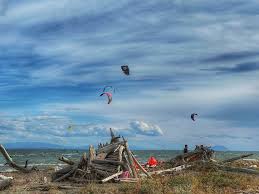 Image result for South Shore Kite Boarders Club