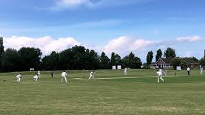 Image result for Abberton Cricket Club