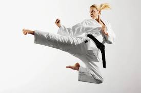 Image result for Thatcham Wado Karate Club