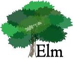 ELM Architecture