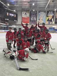 Image result for Streatham Youth Ice Hockey Club