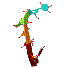 Image result for *PHUfbqhZ