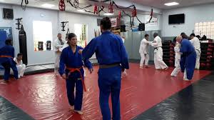 Image result for Tokei Martial Arts Club