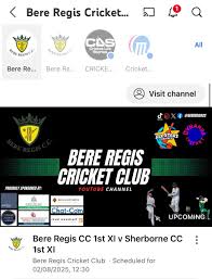 Image result for Bere Regis Cricket Club
