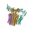 RCSB PDB - 6LY9: The membrane-embedded Vo domain of V/A-ATPase ...