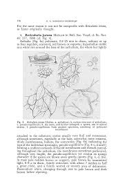 Attēlu rezultāti vaicājumam “Reticularia jurana”