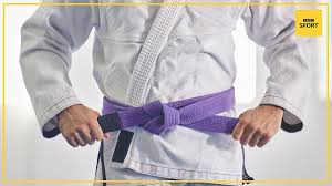 Image result for Sandokai Karate