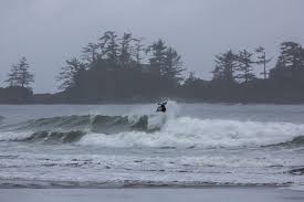 Image result for seppi tehron