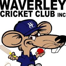 Image result for Waverley Cricket Club